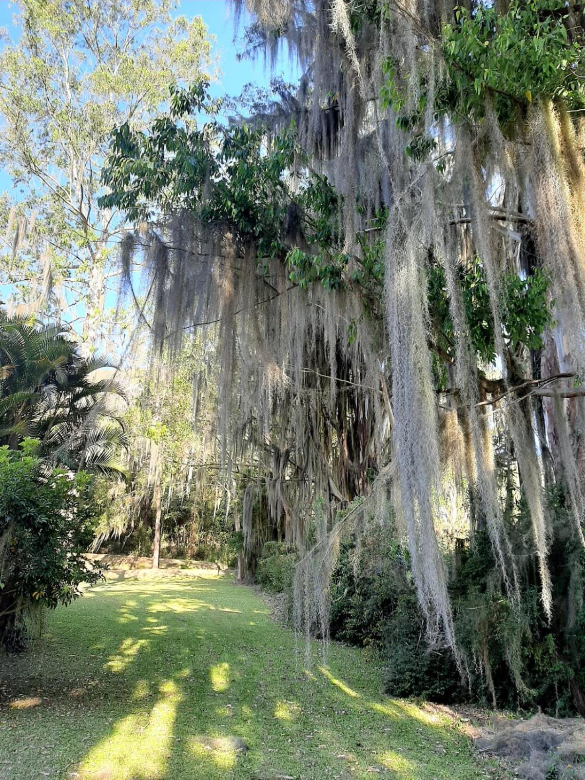 Sitio Riacho Das Pedras Teresópolis المظهر الخارجي الصورة